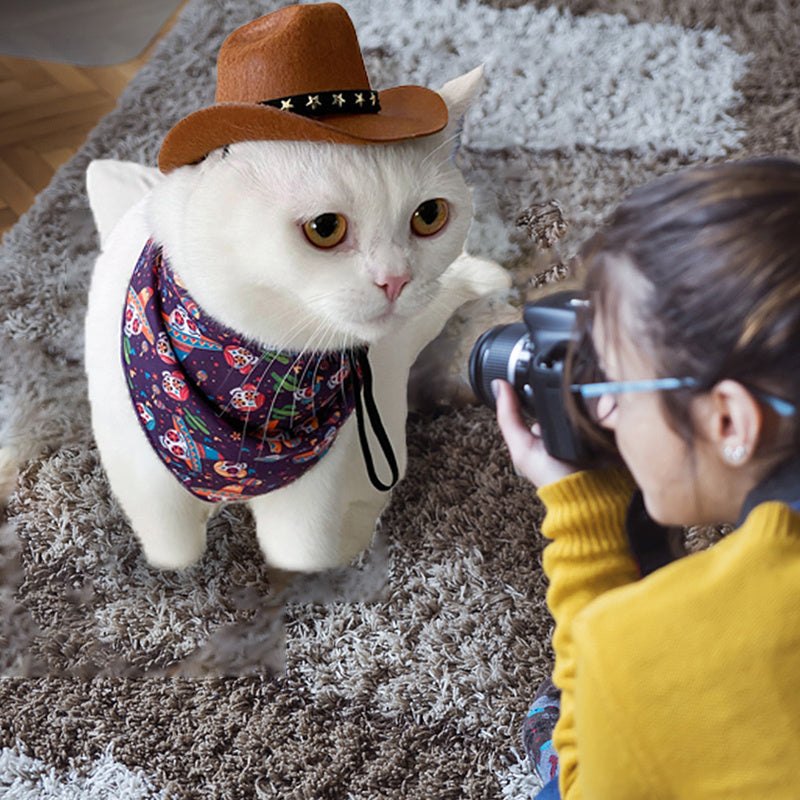 Stylish Pets Cat Cowboy Hat Star Hats For Cats Dogs Soft Adjustable Caps Street Parties Photo Shoots Universal Props Clothing